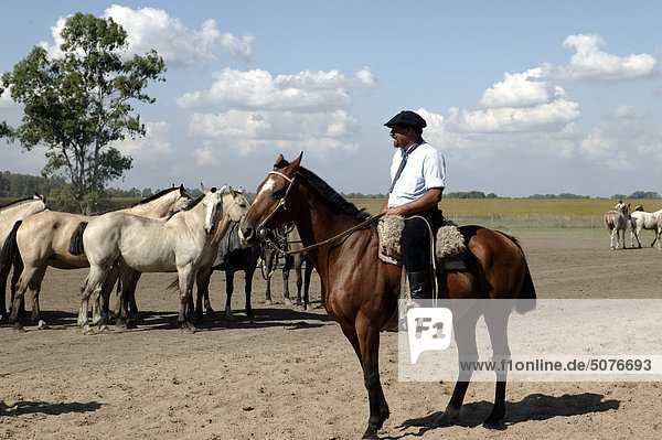 Südamerika Argentinien Gaucho mit Pferden auf La Pampa Estancia