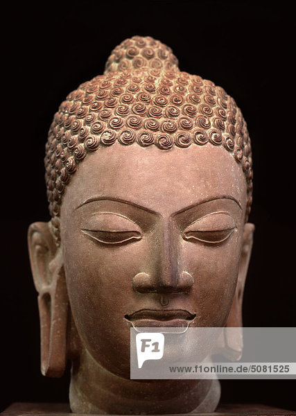 Kopf eines Buddha  Gupta Dinasty  Mathura Museum  Indien