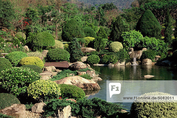 Geclippte Pflanzen im Garten des japanischen Inspiration in Thailand