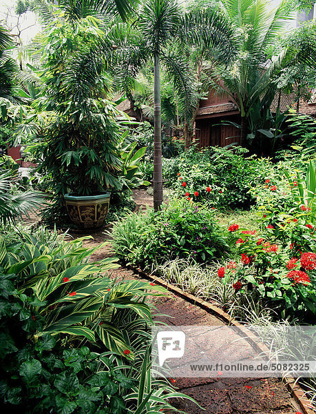Bangkok Hauptstadt Wohnhaus Garten Thailand