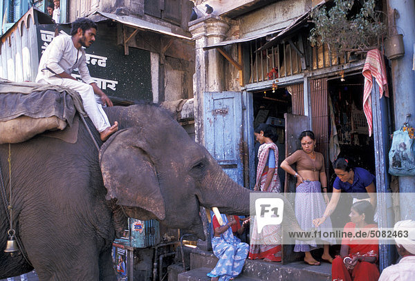 Prostitutes getting a blessing of elephant in Mumbai  Maharashtra India