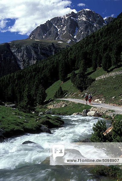 Schweiz. Engadina  Bergfluss auf Plain D'Immez
