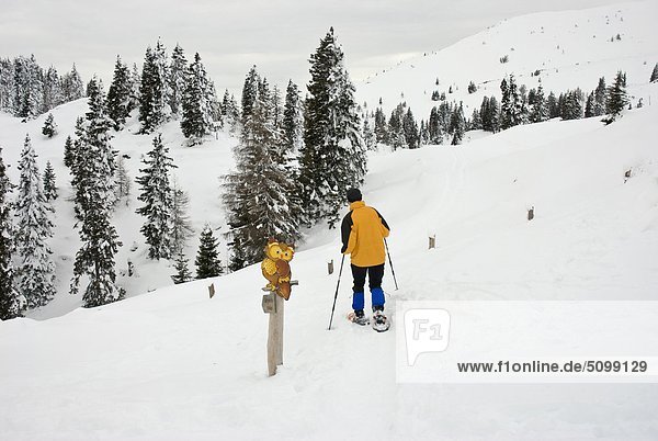 Austria  Carinthia  Villach  Dobratsch Natural Park  People Snowshoeing