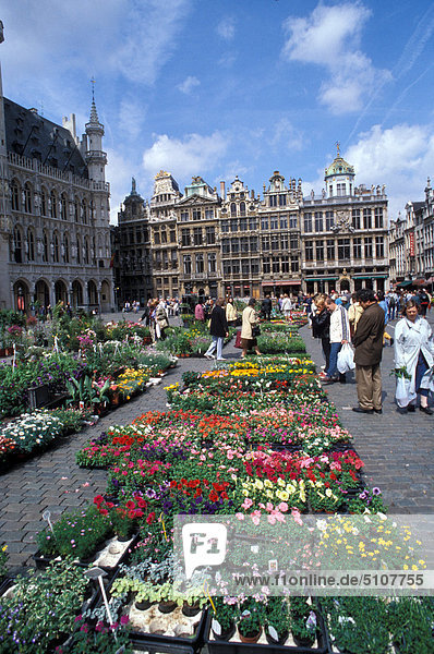 Belgien  Brüssel. La Grand-Place