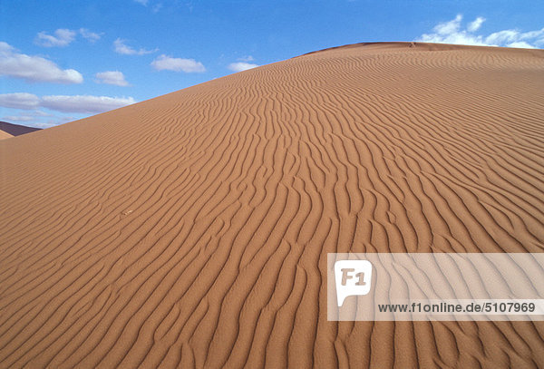 Afrika  Namibia  Namib Desert