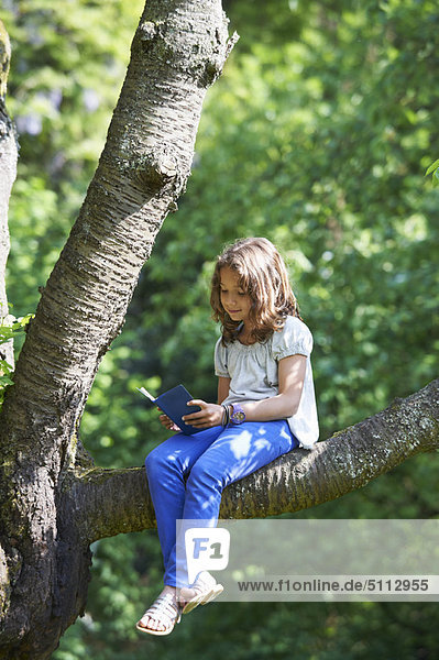 Außenaufnahme  Baum  Mädchen  freie Natur  vorlesen