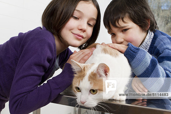 Kinder streicheln ihre Katze