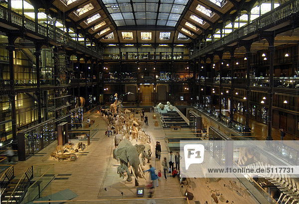 Frankreich  Paris  Natural History Museum in Evolution Galerie.