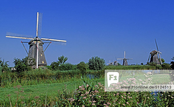 Holland  Kinderdijk  Mill