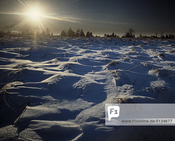 Belgien, Fagne, Baraque Michel Winterlandschaft