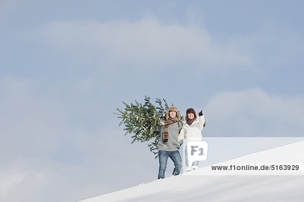 Österreich  Salzburger Land  Flachau  Junger Mann und Frau mit Weihnachtsbaum im Schnee