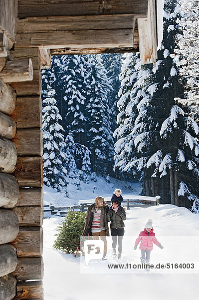 Österreich  Salzburger Land  Flachau  Blick auf Familie mit Weihnachtsbaum und Schlitten im Schnee