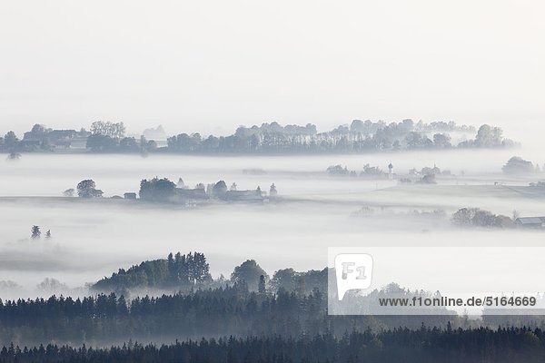Deutschland  Bayern  Oberbayern  Blick vom Hohenpeissenberg auf die Landschaft mit Morgennebel