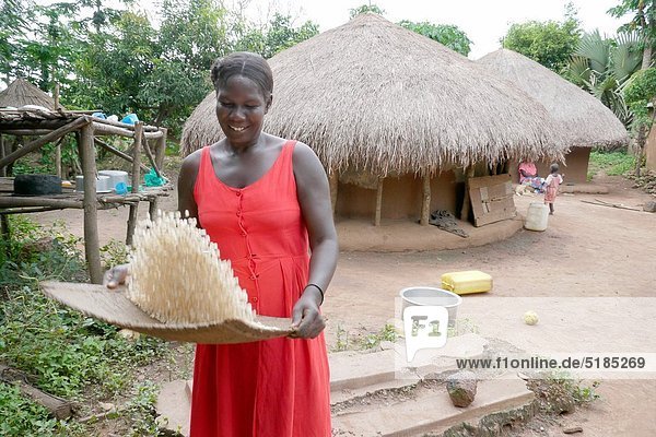 Mais  Zuckermais  Kukuruz  Frau  Fotografie  Reinigung  Mais  Uganda