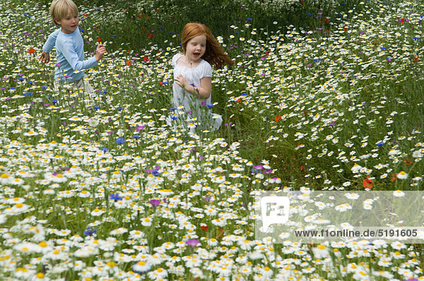 Kinder  die im Blumenfeld laufen