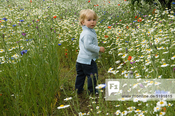 Baby walking in field of flowers