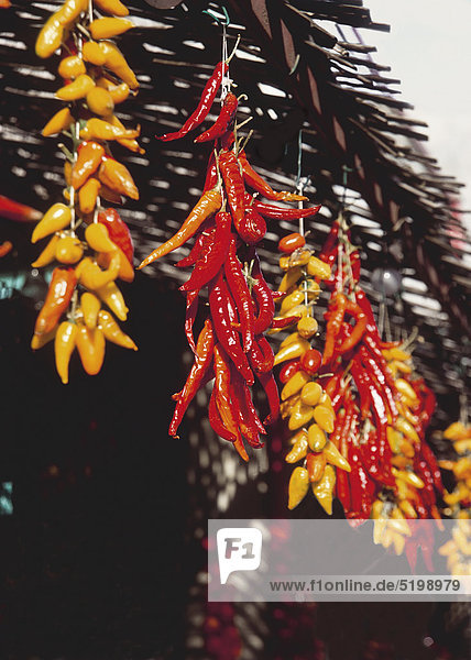 Rote und gelbe Peperoni hängen an Sonnendach  Mallorca