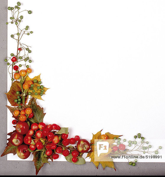 Rahmen aus Herbstblättern Und Früchten