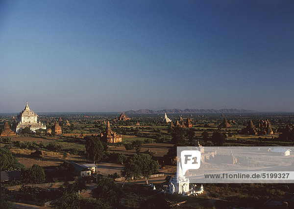 Landschaft mit Pagoden  Bagan  Myanmar