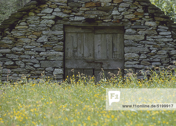 Hütte aus Natursteinen  Blumenwiese  Tessin  Schweiz