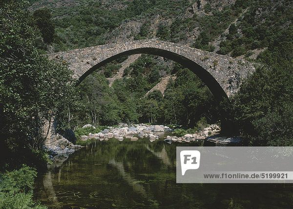Alte Steinbogenbrücke  Pont Genois de Porto  Korsika  Frankreich