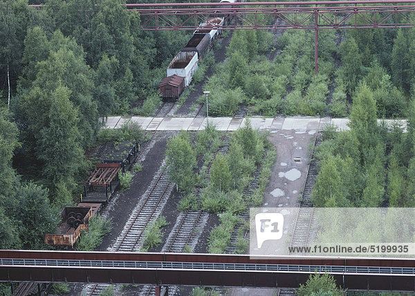 Alte  zugewachsene Gleisanlagen mit alten Güterwaggons