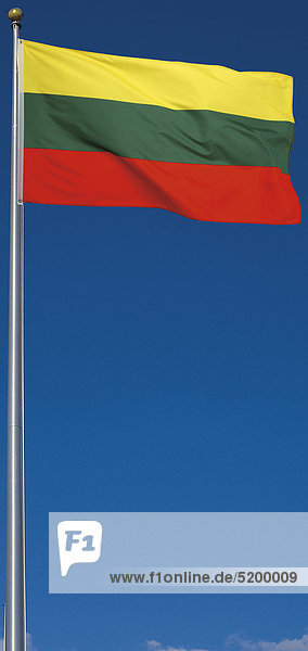 Flagge-Litauen