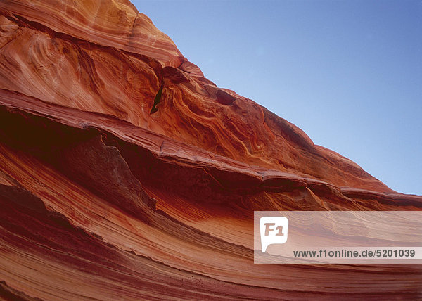 Roter  geschichteter Sandsteinfelsen  USA