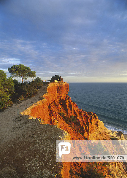 Rote Steilküste  Praia da Falesia  Algarve  Portugal
