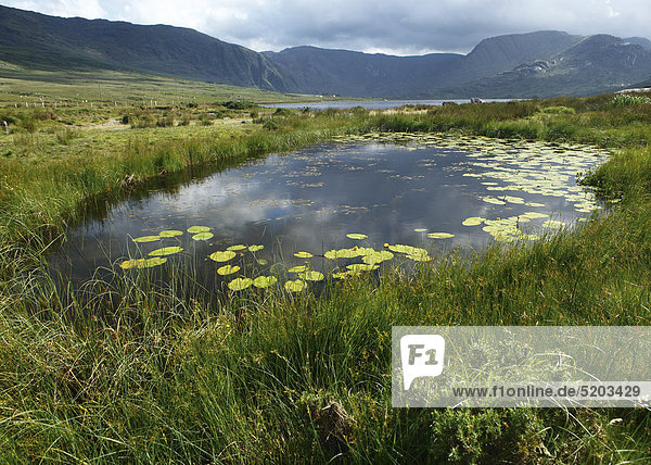 Irland  Teich in Seenlandschaft