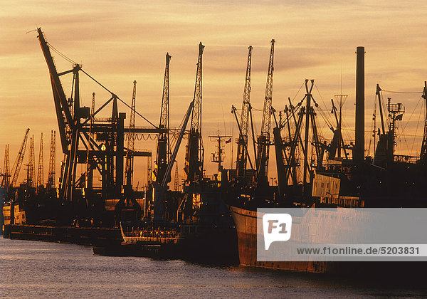 Hamburg  Hafen  Abendstimmung  Deutschland