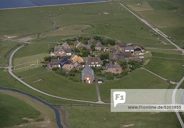 Hallig Oland  Nordfriesland  Schleswig-Holstein  Deutschland