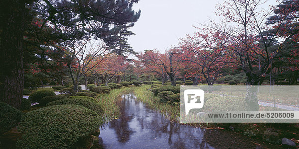 Japanischer Park im Herbst Japan
