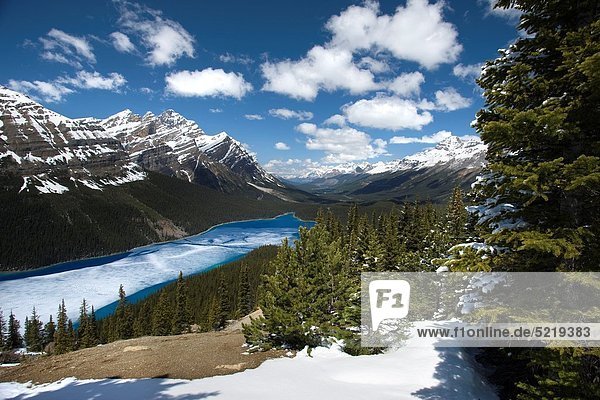 Anschnitt  See  Peyto Lake  Alberta  Banff  Kanada  gefroren
