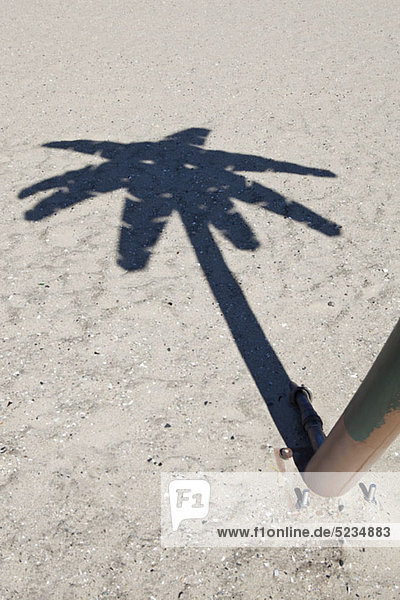 Eine Person  die neben einer falschen Palme steht  konzentriert sich auf Schatten.