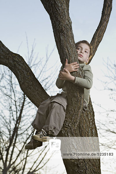 Ein unglücklicher Junge sitzt in einem Baum und greift einen Ast.