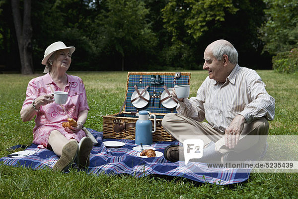 Senior couple enjoying picnic in the park