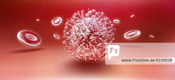 Influenza-Virus-Partikel umgeben von einigen schwebenden roten Blutkörperchen