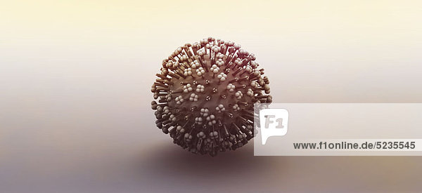 digital erzeugte Influenza-Virus-Partikel