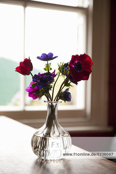 Vase Blumen auf dem Tisch