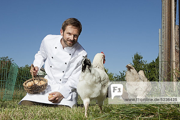 Außenaufnahme Huhn Gallus gallus domesticus Köchin füttern freie Natur