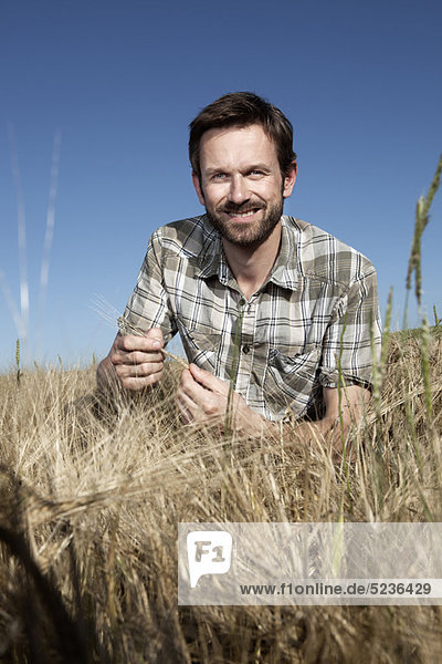 Mann untersucht Weizen im Feld