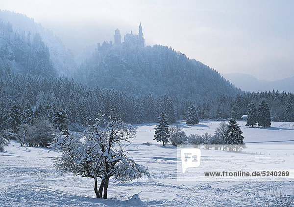 Winterlandschaft  Schloss Neuschwanstein  Allgäu  Bayern