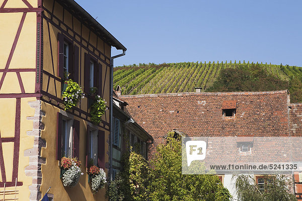 Frankreich  Elsass  Riquewihr  Haut-Rhin  Elsässische Weinstraße  Riquewihr  Blick auf Fachwerkhäuser im historischen Weindorf
