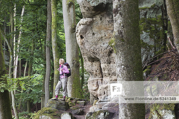 Eifel Region  South Eifel Nature Park  View of woman hiker standing near bunter rock formations at beech tree forest