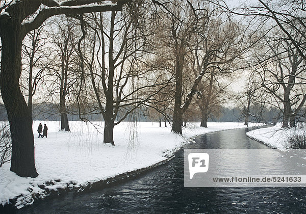 Kanal in Park im Winter  Englischer Garten  München  Bayern