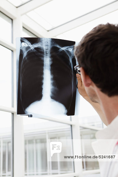 Germany  Bavaria  Diessen am Ammersee  Young doctor examining x-ray  close up