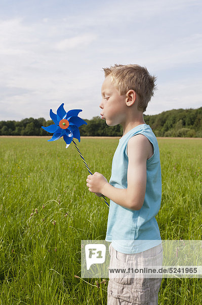 Germany  North Rhine-Westphalia  Hennef  Boy blowing wind mill in meadow