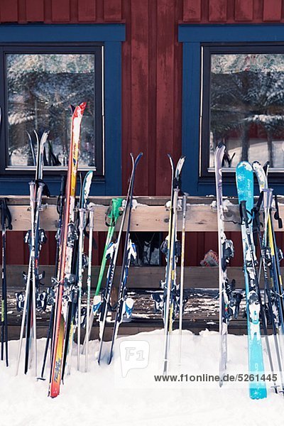 Row of skis in snow