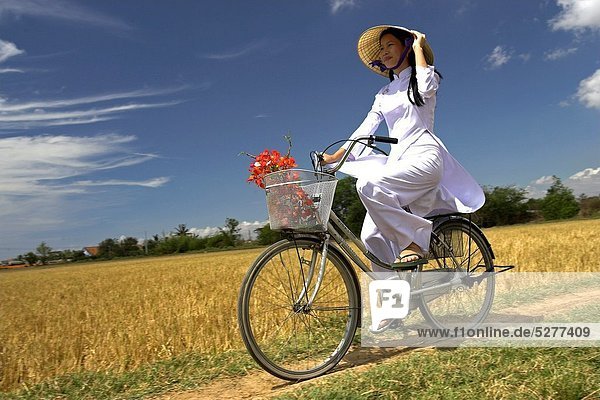 kegelförmig  Kegel  nahe  Frau  Tradition  Hut  fahren  weiß  Feld  Reis  Reiskorn  jung  Fahrrad  Rad  Kostüm - Faschingskostüm  Süden  Vietnam